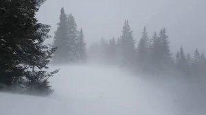 ЗВУКИ ПРИРОДЫ///МЕТЕЛЬ///ЗИМА