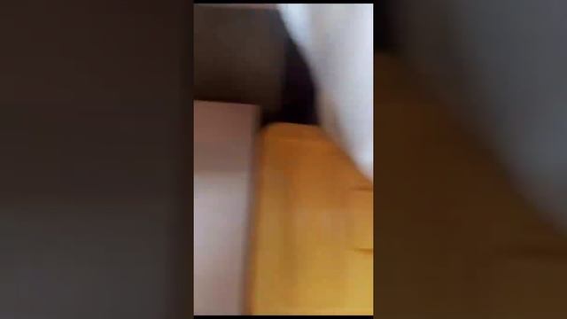 Как Правило Ухаживать За Котёнком смотреть онлайн