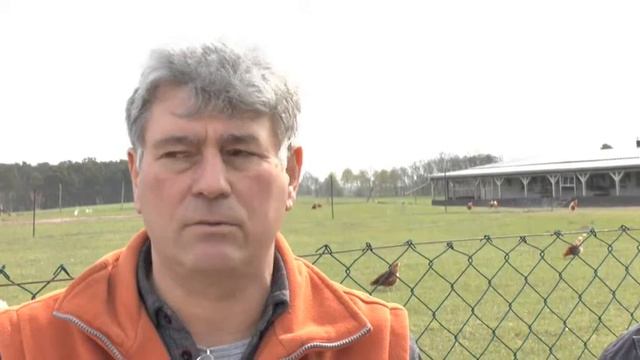 Geflügelhof Siegmar Birk смотреть онлайн