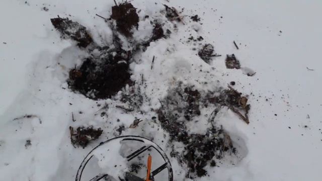 Коп по снегу с Garret Ace250 с голиафом15.