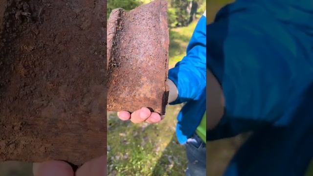 Как мы сходили за грибами. Искали лисички. Нашли. Видео веселое. С эффектами ))) смотреть онлайн