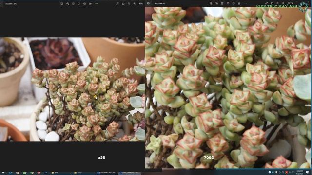 sony a58 vs canon 700D смотреть онлайн
