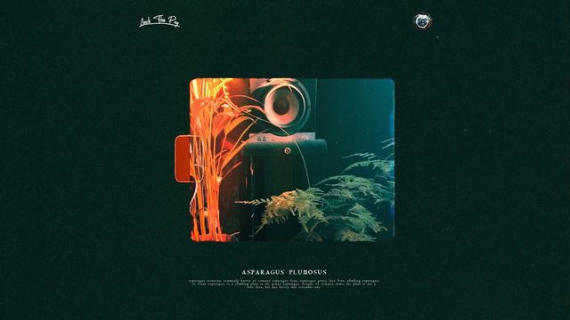 Jack The Pug - Asparagus Plumosus (lofi beat to relax/study) смотреть онлайн