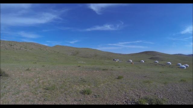 Pallas Cat Conservation смотреть онлайн