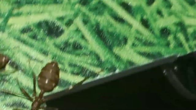 Эки попивают медовый сироп смотреть онлайн