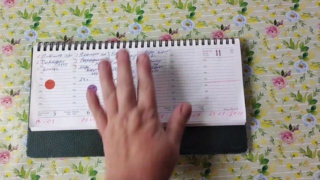 Вязовлог. Рандом. Отчёты по всем СП.