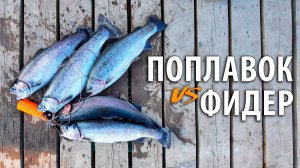 На что клюёт #форель? ФИДЕР vs ПОПЛАВОЧКА. Платная #рыбалка в РК "Посейдон".