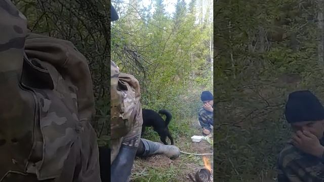 Река вежма 1 день смотреть онлайн