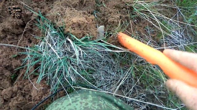 Испытание пинпоинтера или накопал я шмурдяка! (часть 2) #Fm76 смотреть онлайн