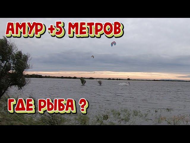 Разведка мест для рыбалки. Рыбалка на спиннинг. Рыбалка на Амуре. смотреть онлайн
