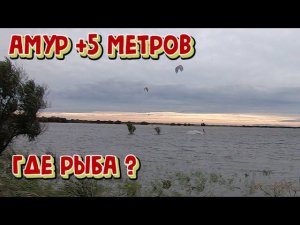 Разведка мест для рыбалки. Рыбалка на спиннинг. Рыбалка на Амуре.