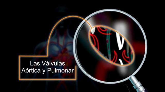 FISIOLOGÍA DEL CORAZÓN смотреть онлайн