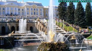✔️ИНТЕРЕСНЫЕ ФАКТЫ О ПЕТЕРГОФЕ.
