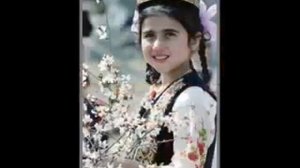 БОЗОРЧАИ   ФАРХОРИ     2015