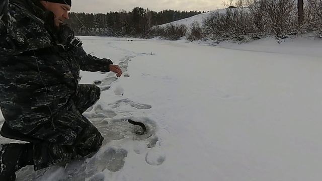 Открытие зимнего сезона!!!Первые поклевки щуки на ЖЕРЛИЦЫ.Река БИЯ.Рыбалка 2019 смотреть онлайн