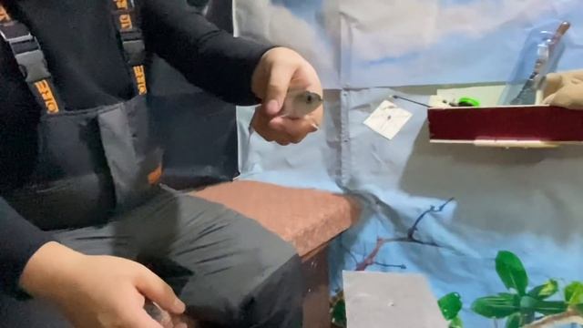 Рыбалка на оз.Щучье, Сиг и Рипус с Большой глубины, Рыбалка в Щучинске,Рыбалка в Казахстане смотреть онлайн