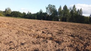 Nokta Legend. Обновленная или старая? Кто лучше?