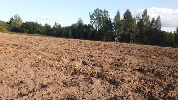 Nokta Legend. Обновленная или старая? Кто лучше?