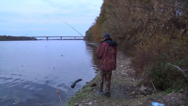 Рыбалка. Двое Суток на Оке ловим хищника с Больничкой и Леопольдом. смотреть онлайн
