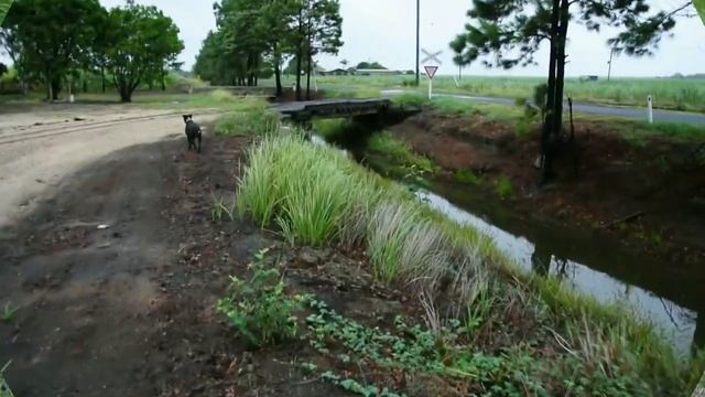 Nikon 1 J1 смотреть онлайн