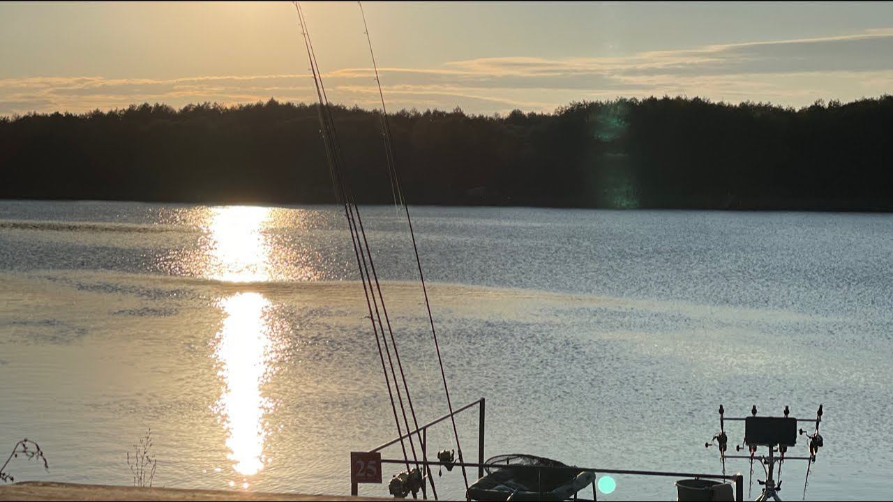 Экстремальный карпфишинг в октябре! Ловля карпа в затопленном лесу! смотреть онлайн
