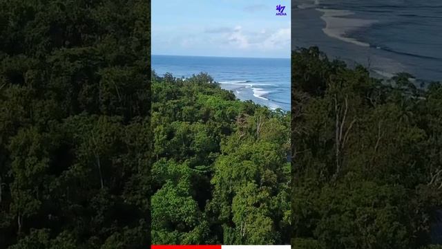 Remotest Island?️In The World?| Bouvet Island? Facts Malayalam | 47 ARENA #shorts смотреть онлайн