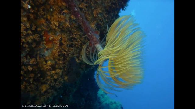 Séjour au Lavandou - Avril 2015 смотреть онлайн