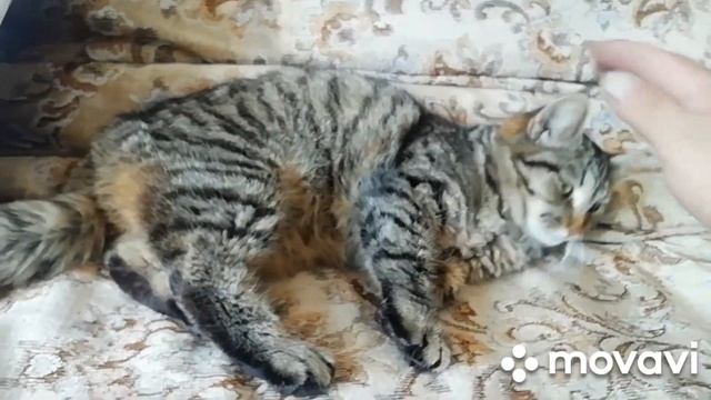 Время стирает города, да? А обои клеить надо? смотреть онлайн