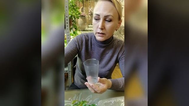 Черенкование Бегонии ампельной. Посев семян. смотреть онлайн