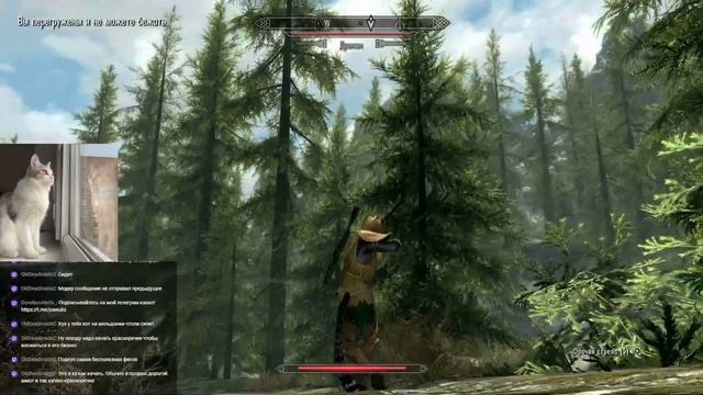 Каджит играет за Каджита в скайрим смотреть онлайн