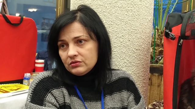 Мейн-кун: рассказ владелицы питомника смотреть онлайн