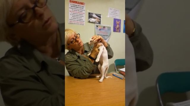 131118. Актировка в клубе. Девочка Интисар. смотреть онлайн