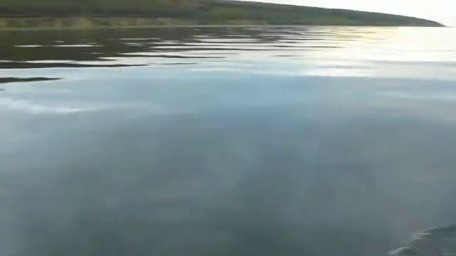 badger fl-300&mercyre2.5 После кустореза ,полный восторг. смотреть онлайн