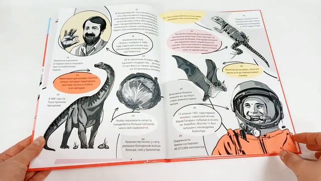 Энциклопедия для детей и родителей на каждый день. 365 фактов обо всём на свете. смотреть онлайн