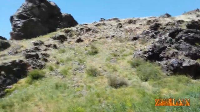 Поездка за Бережную шишку смотреть онлайн