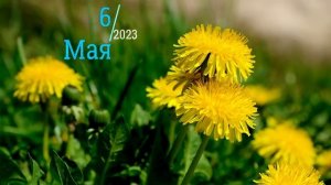 6 МАЯ 2023 ЧТО НЕЛЬЗЯ ДЕЛАТЬ,НАРОДНЫЕ ПРИМЕТЫ,ЧТО МОЖНО ДЕЛАТЬ
