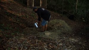 Хижина в лесу лесная ХИЖИНА своими руками из подручных материалов бушкрафт