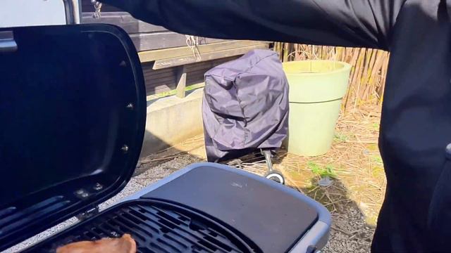 НЕДОобзор WEBER Go-anywhere. НЕ делайте так обзоры. + рецепт.  ЧАСТЬ1