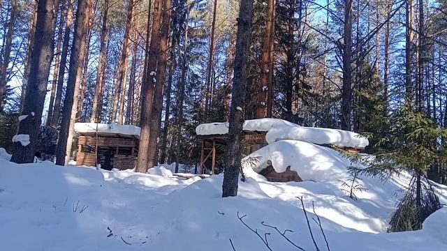 Обалдел я от такого ЛЕСНОГО чая. Жизнь в ТАЁЖНОЙ ИЗБЕ продолжается! Попробуйте обязательно! смотреть онлайн