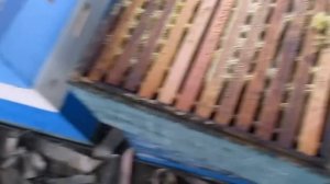 Главный взяток Как активизировать пчелиную семью на принос нектара