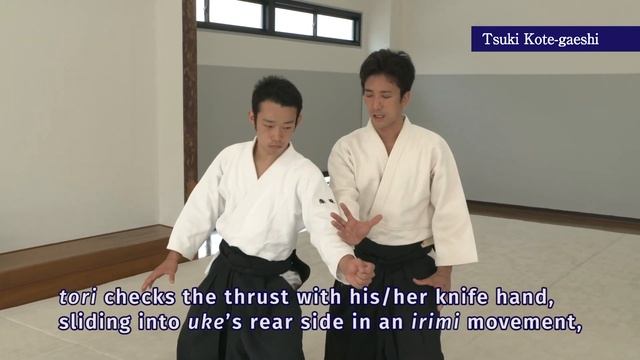 【An introduction to Aikido】Tsuki Kote-gaeshi Director of Aikido Hombu dojo Mitsuteru Ueshiba смотреть онлайн