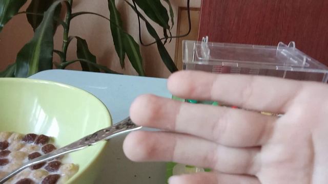 крутые видио смотреть онлайн