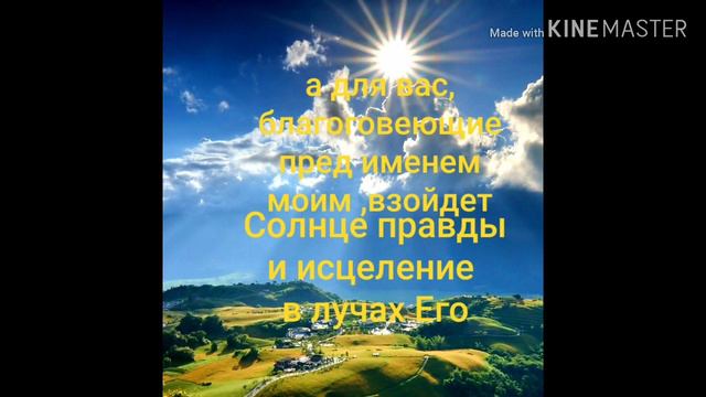 4 ЧАСТЬ! ПОЛНАЯ КАРТИНА ОБ ИСЦЕЛЕНИИ И О БОЛЕЗНЯХ смотреть онлайн