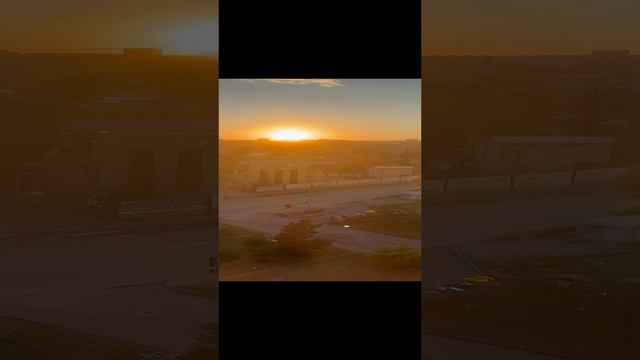 Тополиный пух. Жара. Июнь. Животные