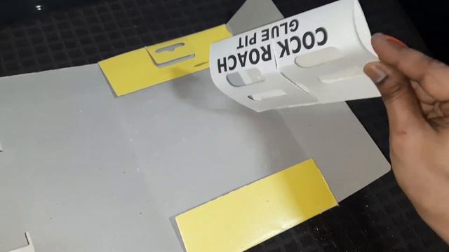 బొద్దింకలు నివారించడానికి ఇంటి చిట్కాలు,టిప్స్|| How To Get Rid Of Cockroaches || COCKROACH GLUE PI