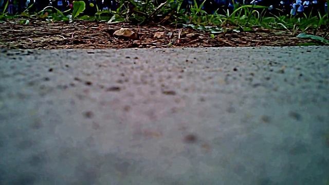 Открытие спорт клуба "Витязь" в Балашихе с высоты птичьего полёта смотреть онлайн