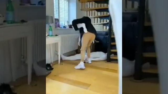 Пранк!!! смотреть онлайн