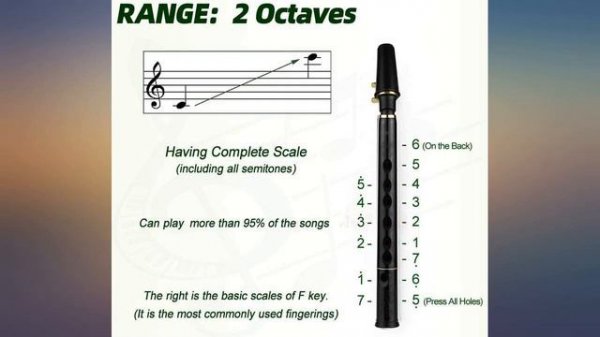 HiXing Simple sax,Mini Saxophone, Pocket Sax for C Key ,Adult students and beginner review