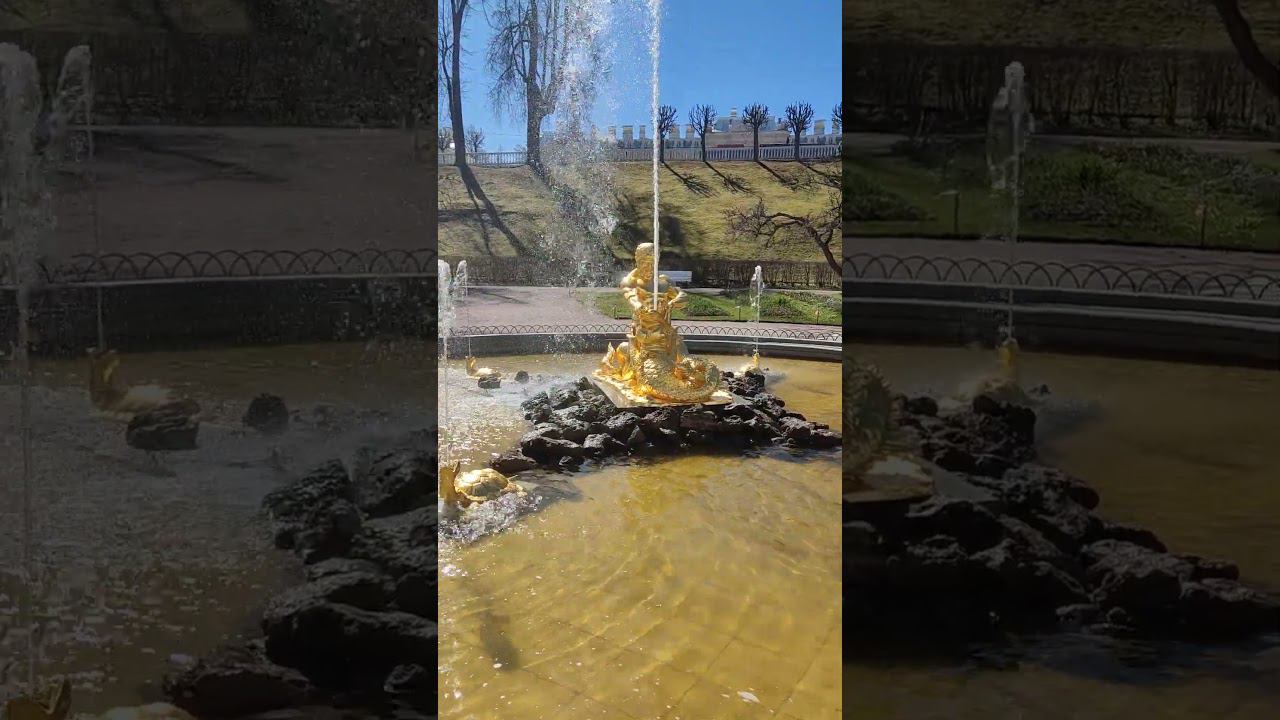 #shorts Петергоф/фонтан/Аполлон раздирающий пасть смотреть онлайн