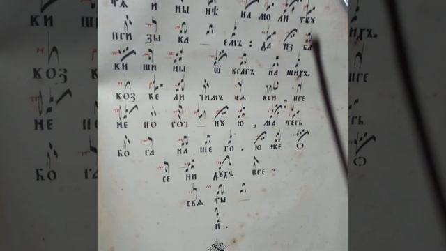 ВЛАДЫЧИЦЕ ПРИИМИ МОЛИТВУ РАБ СВОИХ НА МОЛЕБНЕ ЗАДОСТОЙНИК ГЛАС 8 ЗНАМЕННАЯ КРЮКОВАЯ НОТАЦИЯ смотреть онлайн